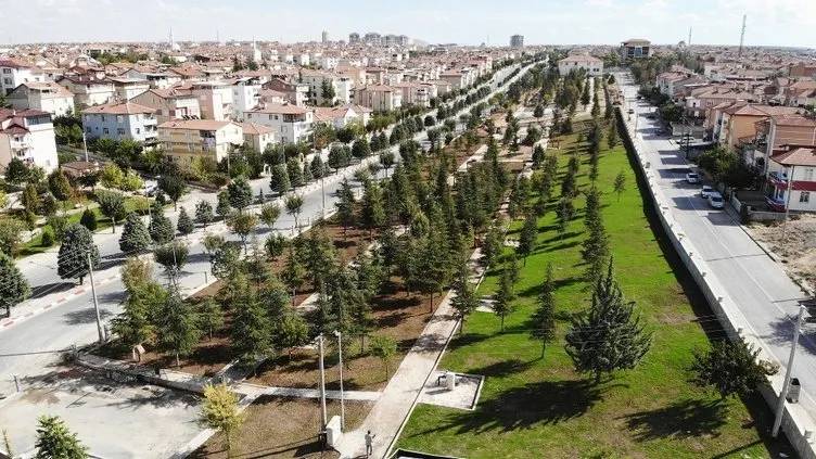 İl il Türkiye nüfusu! En çok artan ve azalan şehirler dikkat çekti 73